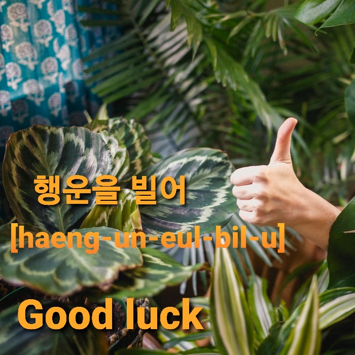 Good luck in Korean