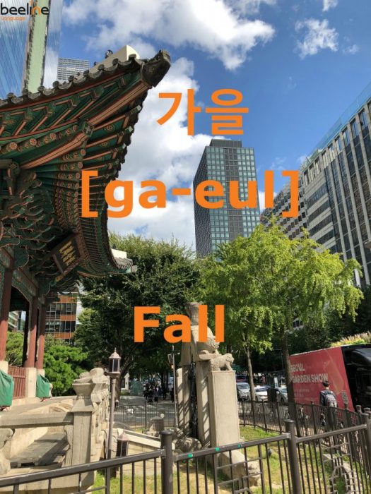 Fall in Korean
