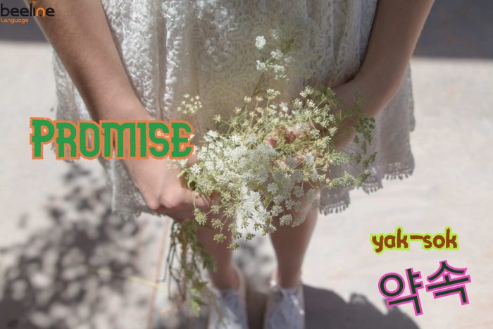 Promise in Korean