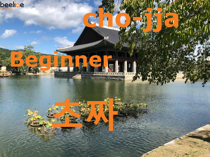 How To Say a Beginner in Korean