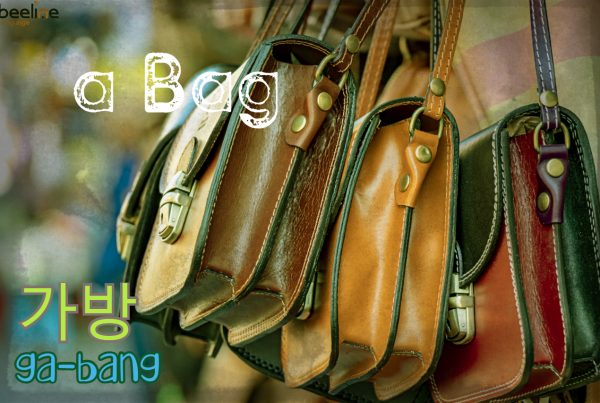 bag in korean