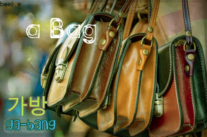 bag in korean