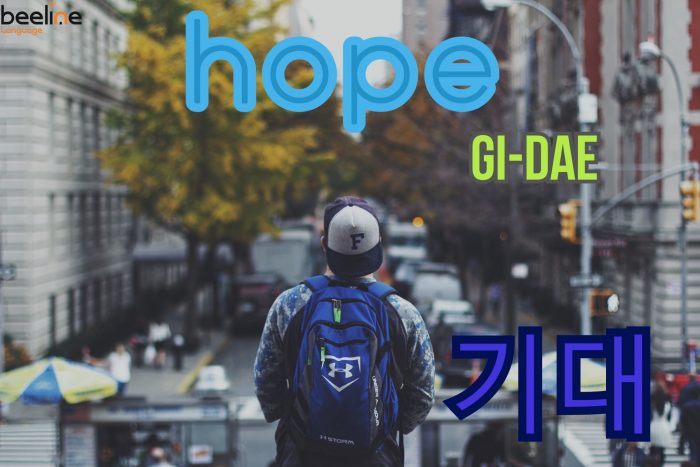 hope in Korean