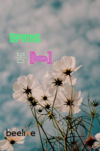 how to say spring in korean