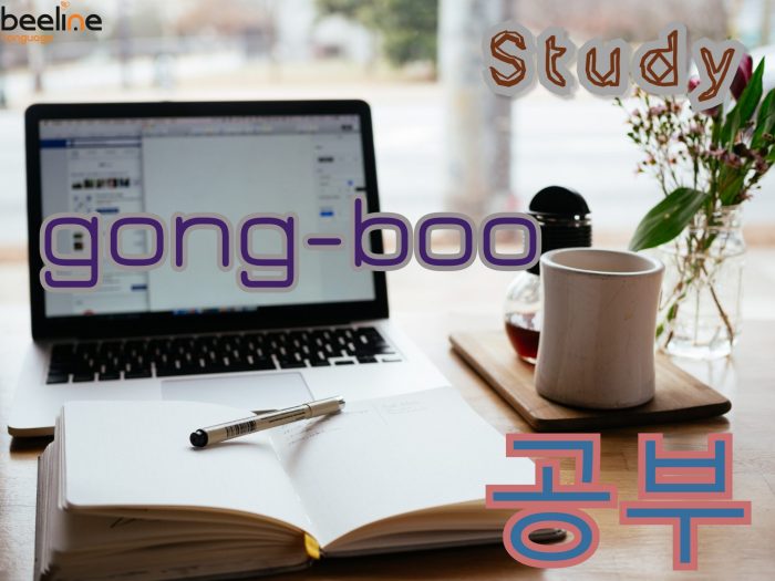 study in Korean