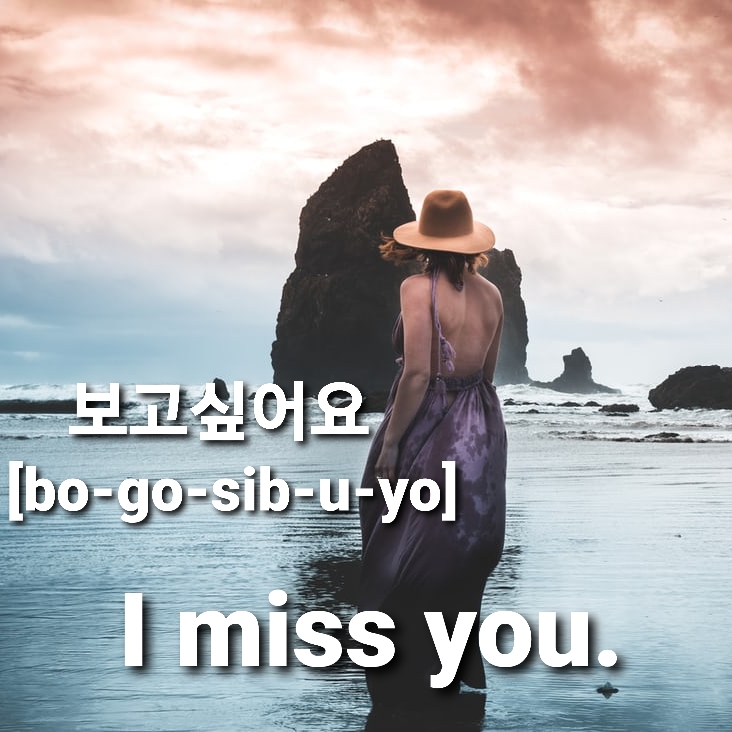 i miss you in korean