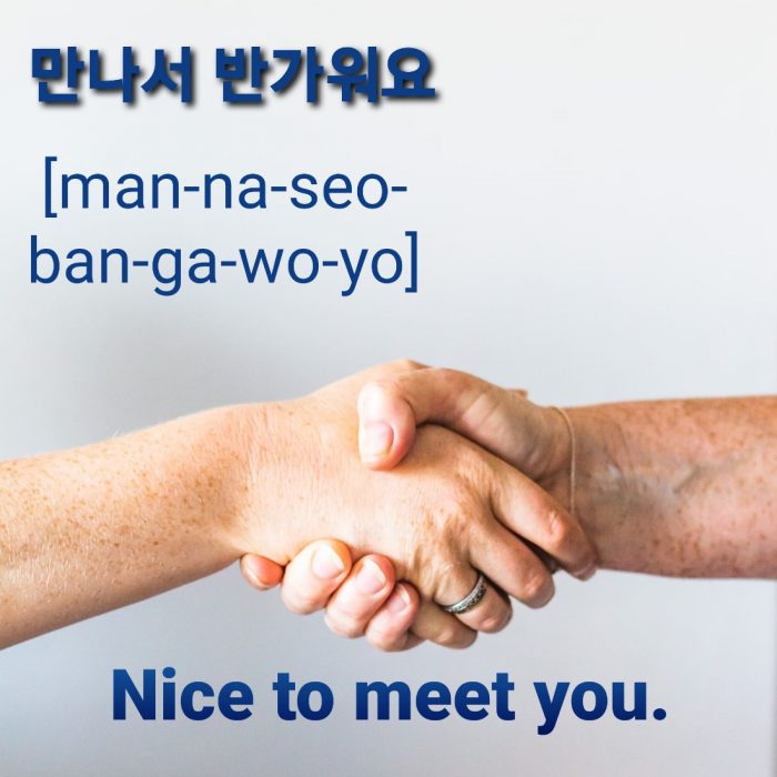 nice to meet you in korean