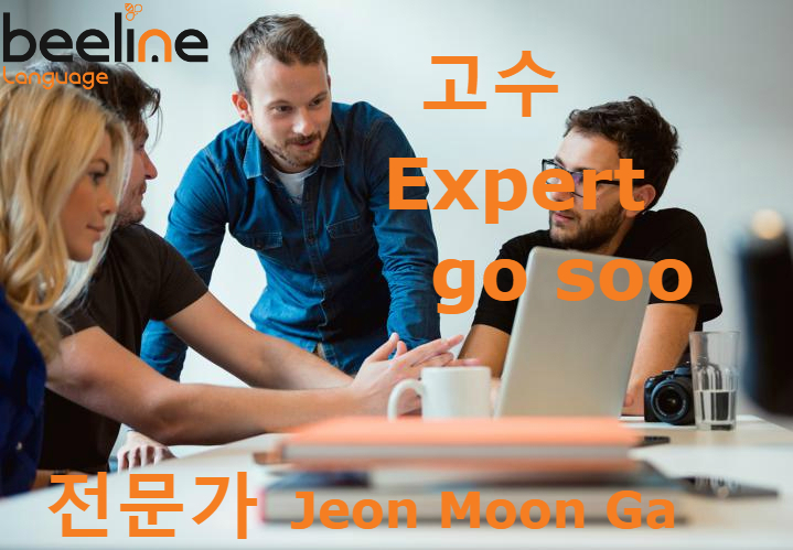 expert in korean
