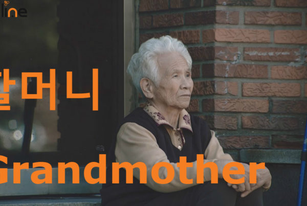 grandmother in korean