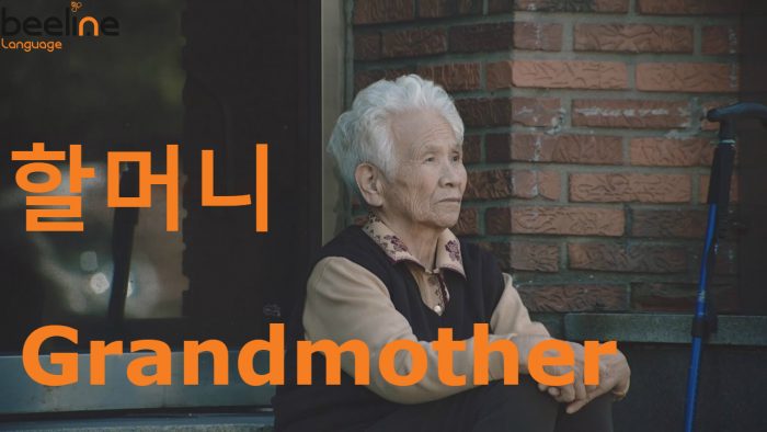 grandmother in korean