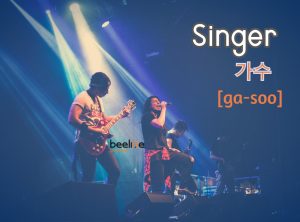 how to say a singer in korean