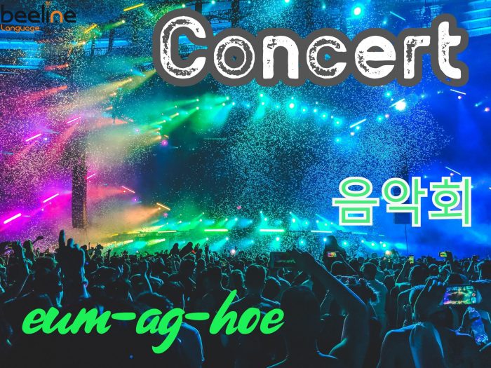 Concert in Korean