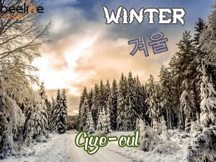Winter in Korean