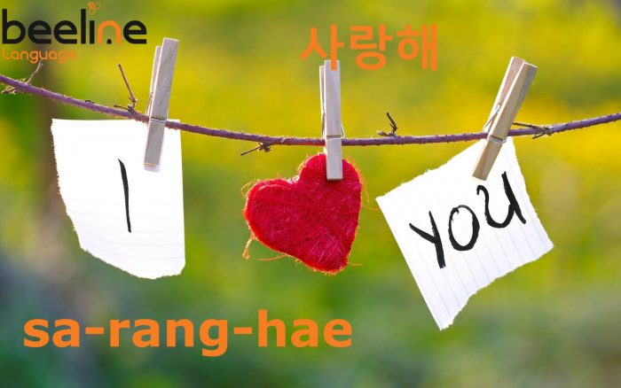I love you in korean