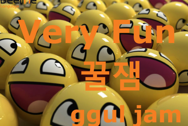 Fun in Korean