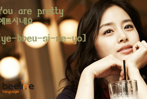 you are pretty in Korean