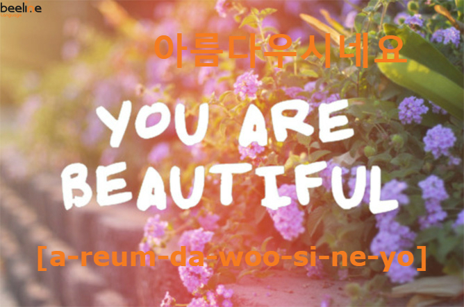 you are beautiful in korean