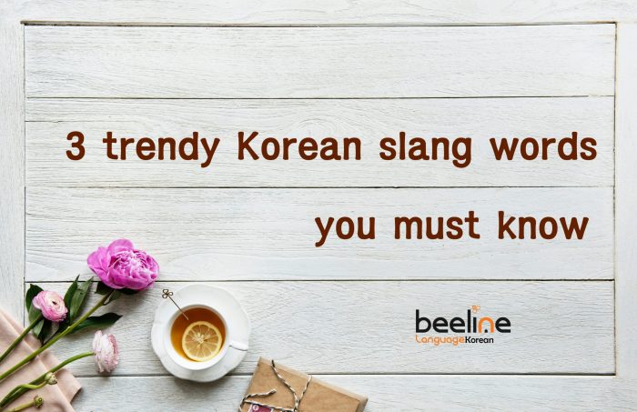 korean slang words